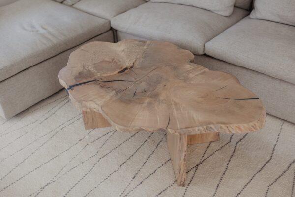 ORGANIC STYLE COFFEE TABLE - Image 2