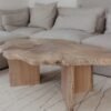 ORGANIC STYLE COFFEE TABLE