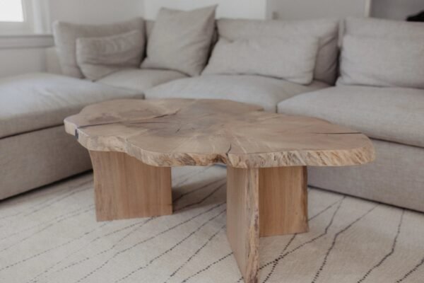 ORGANIC STYLE COFFEE TABLE